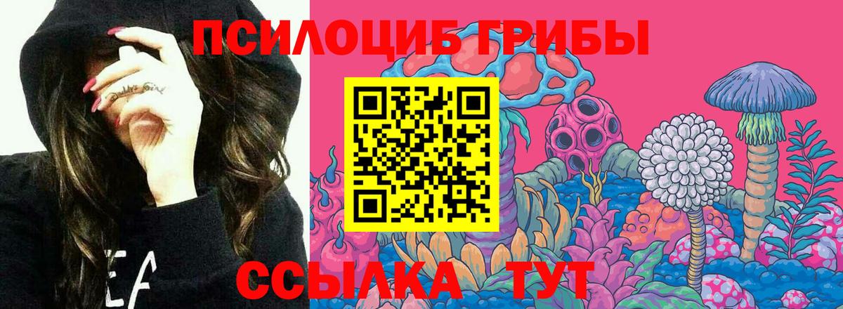 Псилоцибиновые грибы ЛСД Рассказово