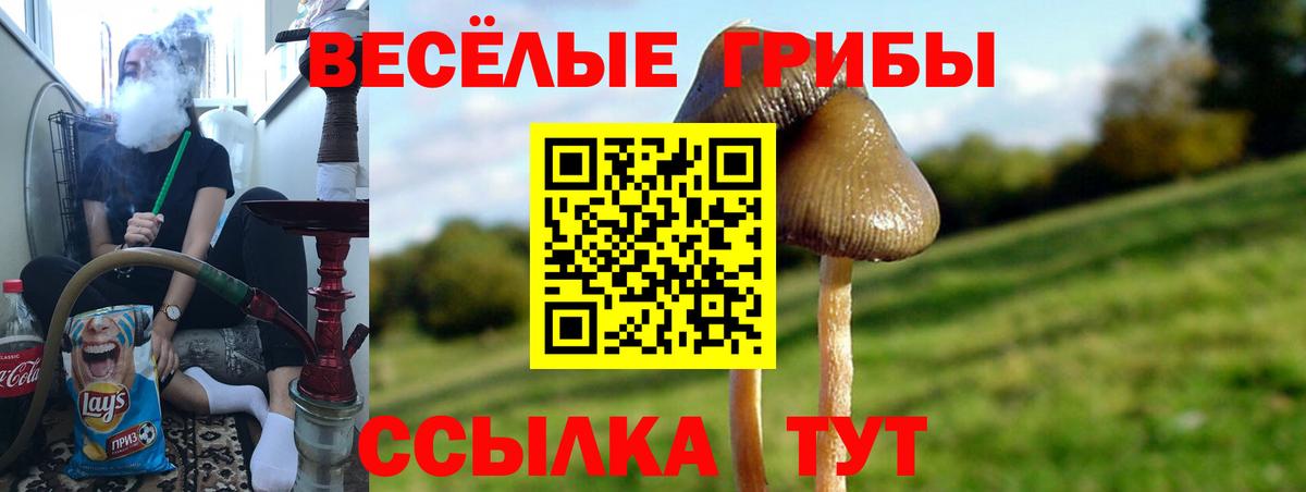 Рассказово  Галлюциногенные грибы Cubensis  Псилоцибиновые грибы ЛСД  Вход с VPN 